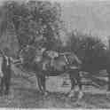 22-412 Eli Bailey holding horse and on right Tom Bailey  circa 1900