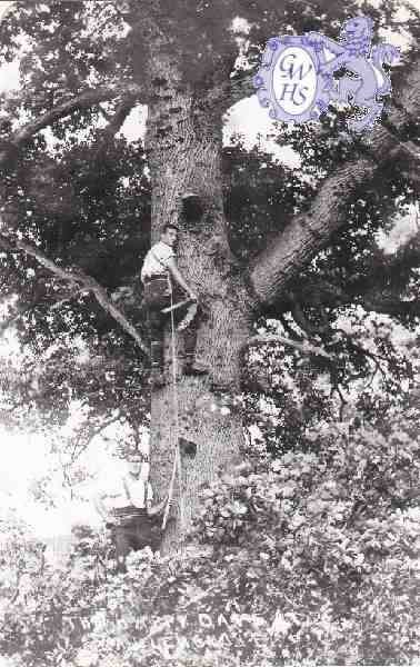 6-77 Leicestershire Wood-cutters Blaby c 1930