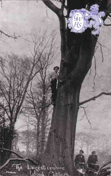 6-81 Leicestershire Wood-cutters Blaby c 1930