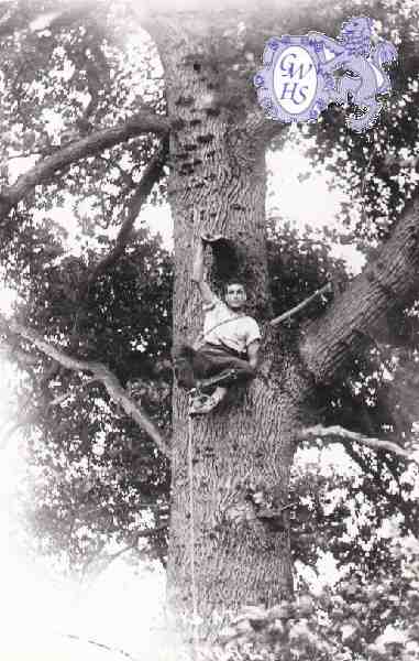 6-83 Leicestershire Wood-cutters Blaby c 1930