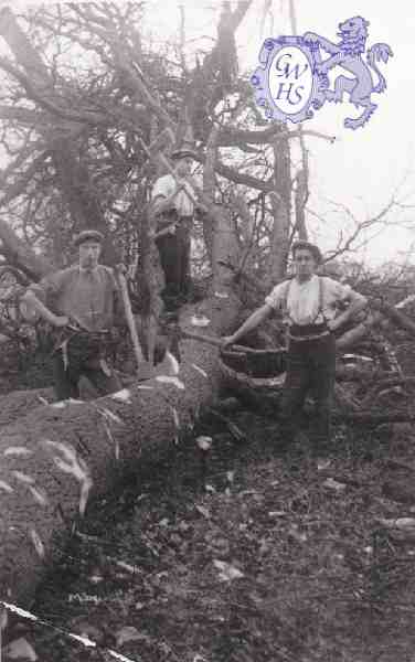 6-90 Leicestershire Wood-cutters Blaby c 1930