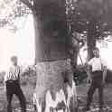 6-76 Leicestershire Wood-cutters Blaby c 1930