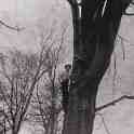 6-81 Leicestershire Wood-cutters Blaby c 1930