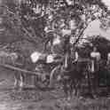 9-171 Woodcutters