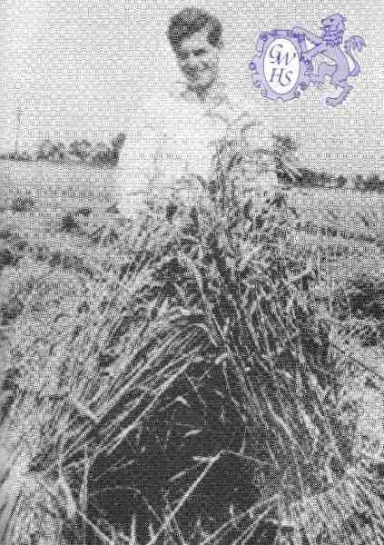 22-403 John Rawson with a stook of corn in 1940's  Wigston Magna