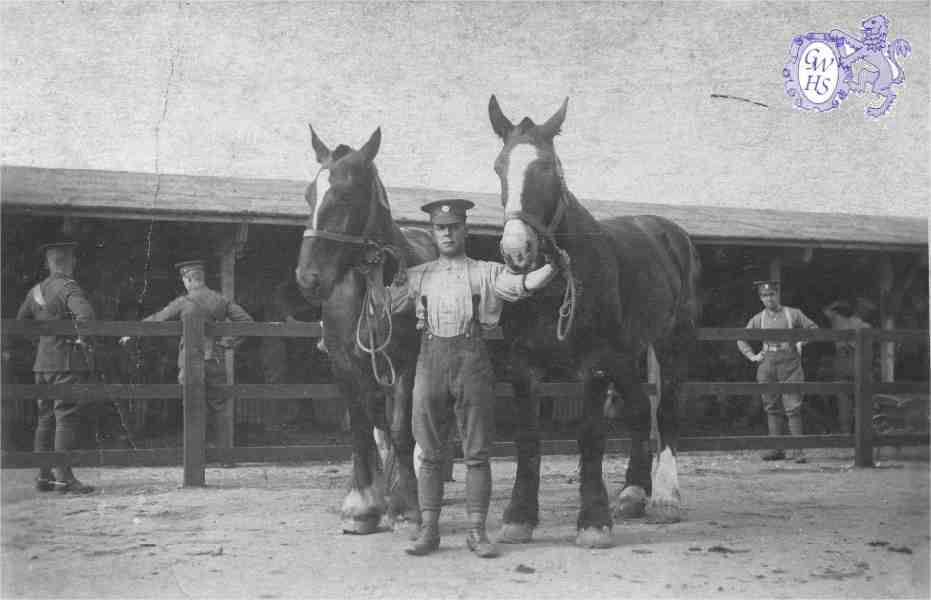 22-479 Leslie Hedges Forryan c 1918 