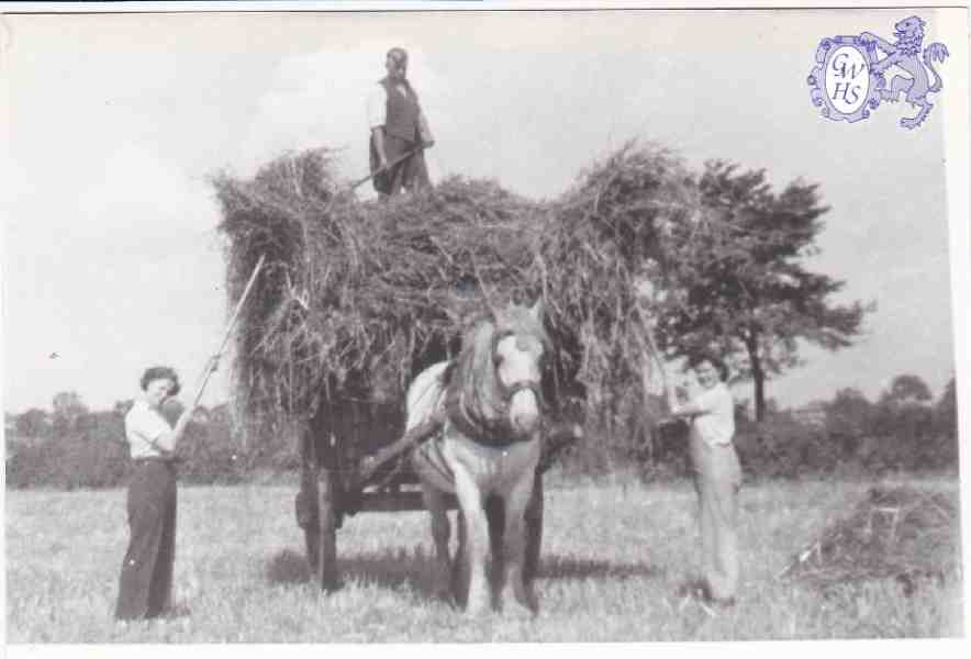 6-55 Harvest in Wigston Magna early 1940's