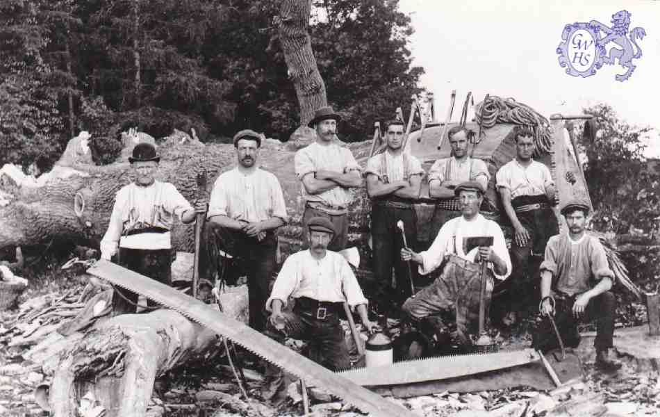 9-180 Woodcutters