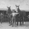 22-479 Leslie Hedges Forryan c 1918 
