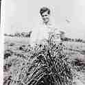 6-28 John Rawson Stooking Corn in Cap Hadland