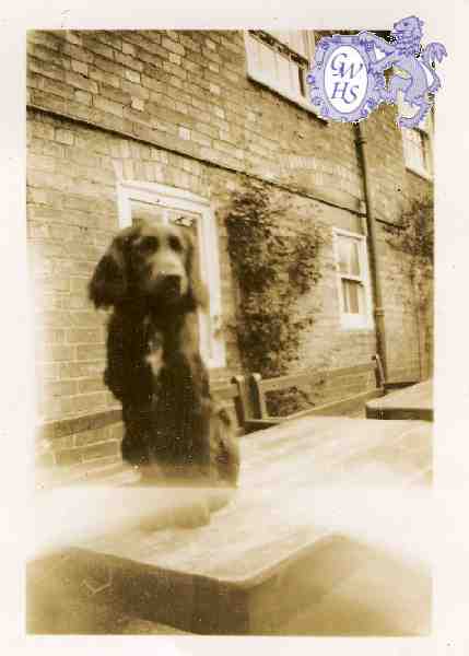 23-619 Dusky, Queen's Head garden, possibly late 1930's-early 40's