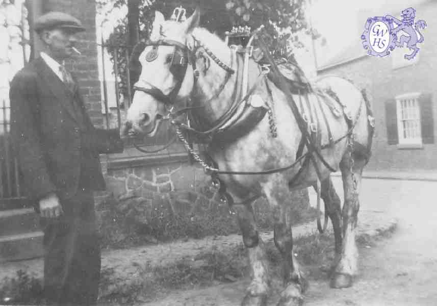 30-202a Tom Roe holding the head of a Co-operative dairy horse in Newgate End Wigston Magna circa 1930