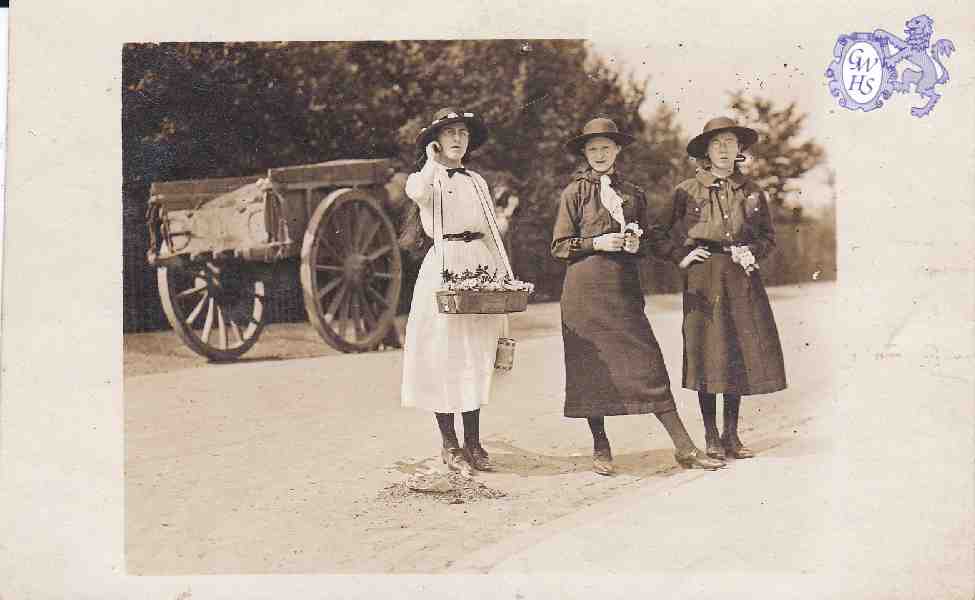 30-607 Alexander Rose Day at Wigston Magna