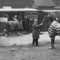 29-643a Horses being loaded to Railway Wagons 29-643a Horses being loaded to Railway Wagons