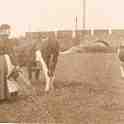 29-126 Farming in South Wigston