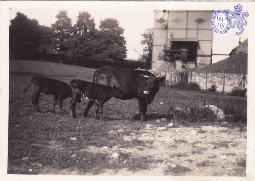 30-210 Wigston Gas Works Retort House taken from the field at Manor House in the 1930's