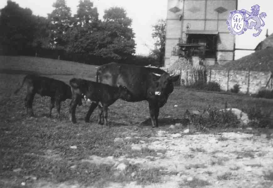 30-210a Wigston Gas Works Retort House taken from the field at Manor House in the 1930's
