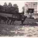 30-210 Wigston Gas Works Retort House taken from the field at Manor House in the 1930's
