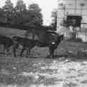 30-210a Wigston Gas Works Retort House taken from the field at Manor House in the 1930's