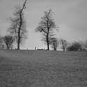 10-10a Site of Tythorn farmhouse 1990