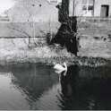 29-774 Kilby Bridge looking across the canal to the side of the Navigation Inn and the ice breaker barge house