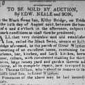 33-164 Black Swan Kilby Bridge Sale