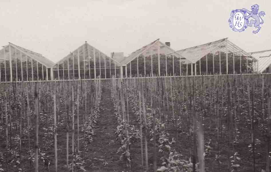 30-089 Horlocks Nursery Leicester Road Wigston Fields circa 1930
