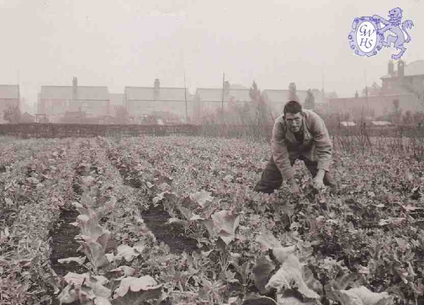 30-091 Horlocks Nursery Leicester Road Wigston Fields circa 1930