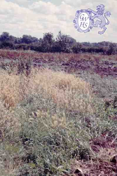 30-105 Horlock Nursery in 1961