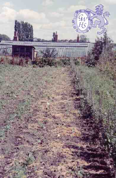 30-174 Horlock Nursery in 1961