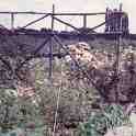 30-102 Garden at Horlocks Nurseries Wigston Fields circa 1961 30-102 Garden at Horlocks Nurseries Wigston Fields circa 1961