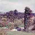 30-103 Garden at Horlocks Nurseries Wigston Fields circa 1961 30-103 Garden at Horlocks Nurseries Wigston Fields circa 1961