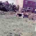 30-165 Garden at Horlocks Nurseries Wigston Fields circa 1961 30-165 Garden at Horlocks Nurseries Wigston Fields circa 1961