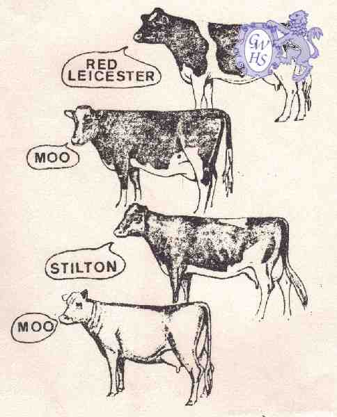 23-430 cows