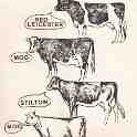 23-430 cows