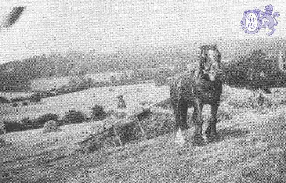 22-405 1920's haysweep on Wilds farm Hambleton Rutland
