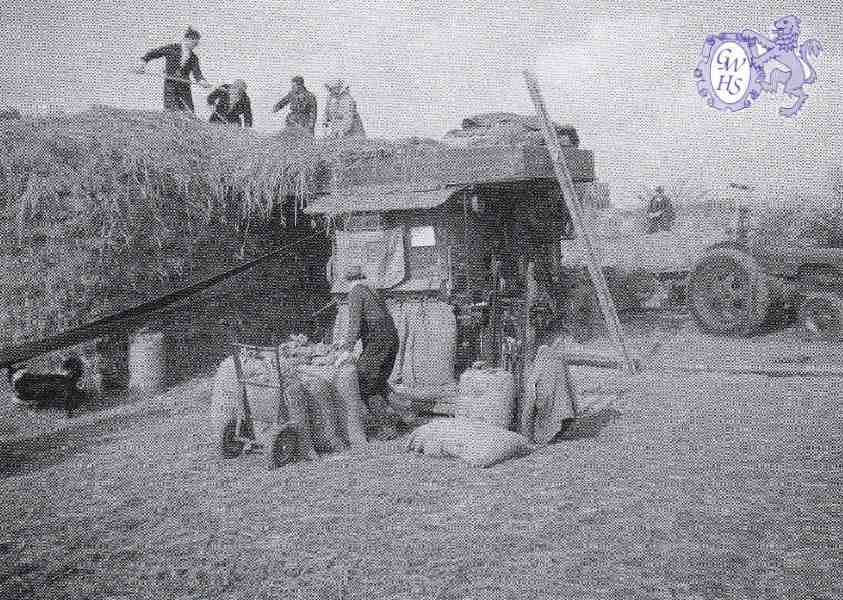 32-441 Harvesting 1950's style in Wigston