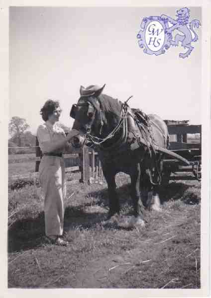 6-10 Jean Lucas with last but one working horse in Wigston Magna