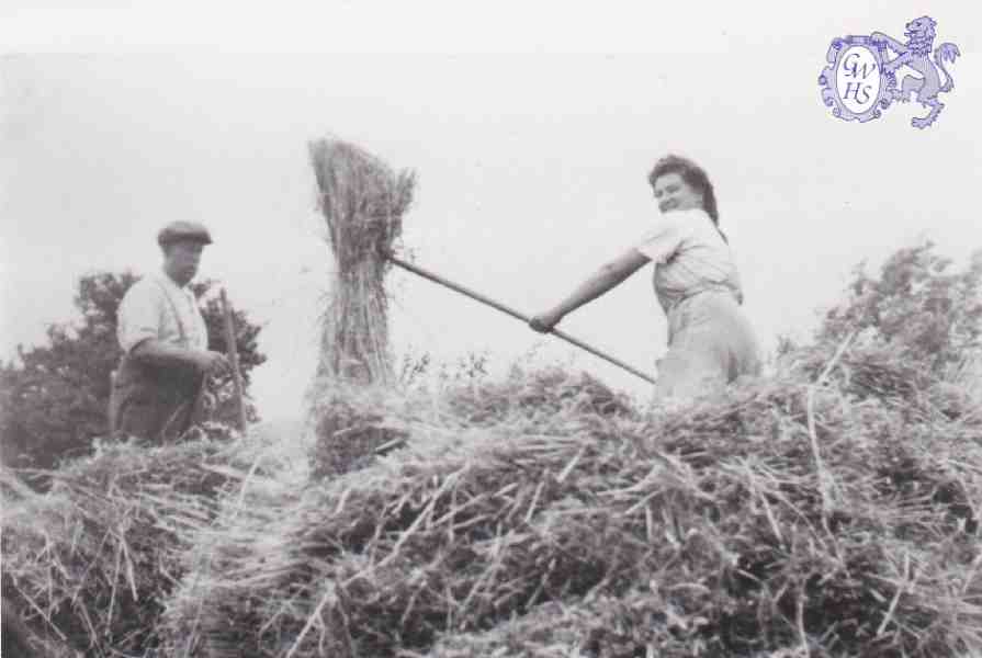 6-23 Sheaves Carting in Wigston Magna