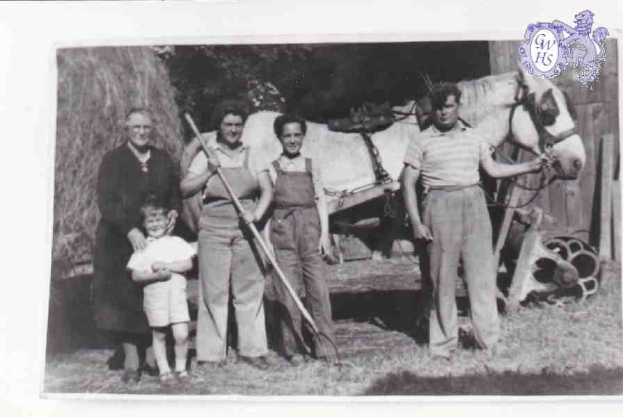 6-25 Wigston family hay making 1930's