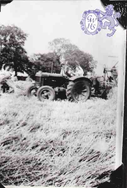 6-8 Farming at White Gate Farm Newton Lane