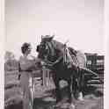 6-10 Jean Lucas with last but one working horse in Wigston Magna