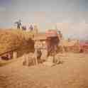 6-17 Threshing on White Gate Farm with Wilf Kind