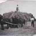 6-20 Hay Carting at Wilfords Farm Ayleston Lane Wigston Magna