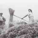 6-23 Sheaves Carting in Wigston Magna