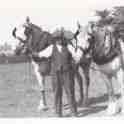 6-31 Mr Wilford and his two horses in Wigston Magna