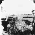 6-37 Freddie Edwards stacking wheat in Wigston Magna