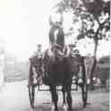 6-51 Bradshaw on Hoyes Mineral water dray