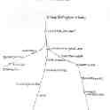 14-174 Diagram of Wigston Railways fully in place by 1872 14-174 Diagram of Wigston Railways fully in place by 1872