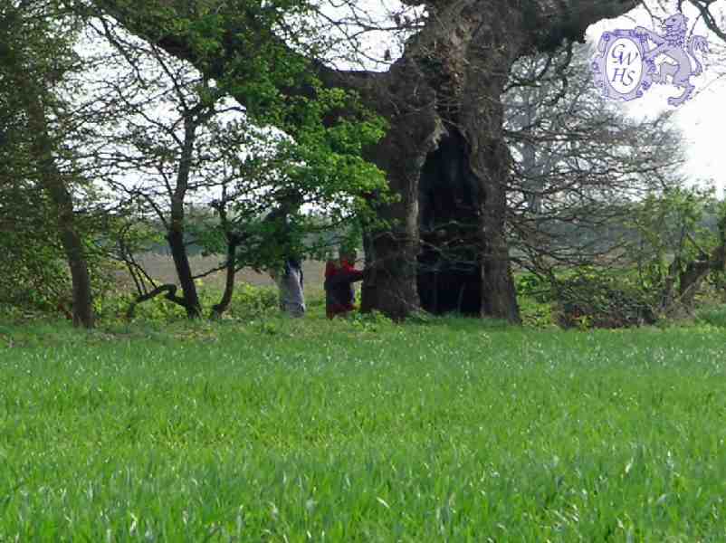 30-934 The ancient boundary marker between Oadby and Wigston